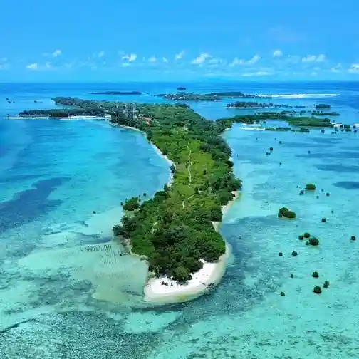 tentang pulau pari aroundpari.com